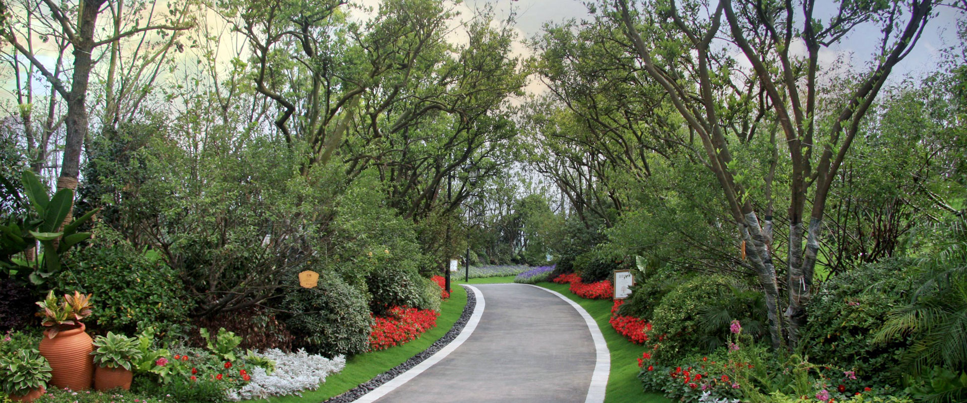 讓我們一起種植希望！